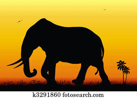 Elephant Elephant