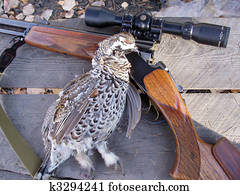 Hunting Hunting