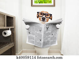 dog on toilet seat reading newspaper dog on toilet seat reading newspaper