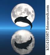 moon moon