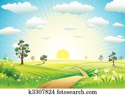 sonnig, wiese sonnig, wiese