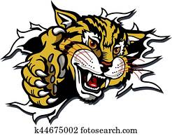 wildcat mascot wildcat mascot