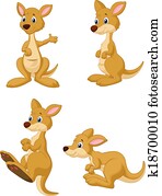 חמוד, ציור היתולי, קנגורו, אוסף, ס.