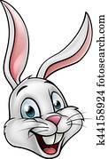 Cartoon White Bunny Rabbit Face Cartoon White Bunny Rabbit Face