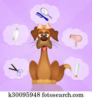 Grooming dogs Grooming dogs