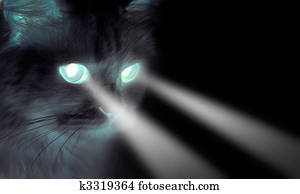 Spooky black cat with shining eyes Spooky black cat with shining eyes