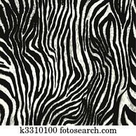 zebra, תבנית, הדפס