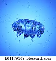 a water bear a water bear