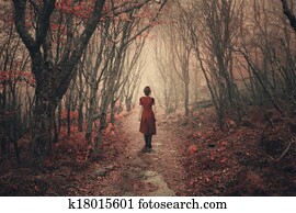 mulher, e, nebuloso, forest.