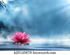 spirituality zen spirituality zen