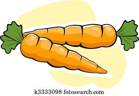 carrots with leaf carrots with leaf