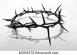 crown of thorns crown of thorns