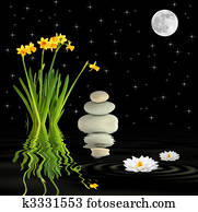 fantasia, primavera, jardim