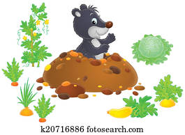 Mole Mole