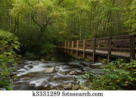 Mountain stream Mountain stream