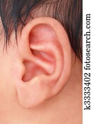 närbild, av, baby, vänster, öra