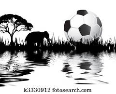 Soccer Soccer