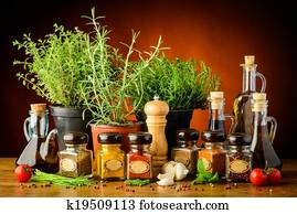 still life with herbs and spices still life with herbs and spices