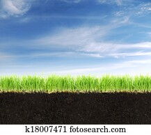 Cross-section of land with soil,grass and blue sky.