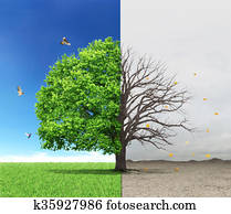 The concept of life and death. Dead and live tree at different backgrounds The concept of life and death. Dead and live tree at different backgrounds