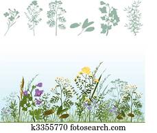Herbs Herbs