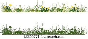 Meadow Meadow