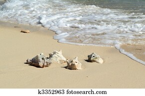 Turk and caicos Islands