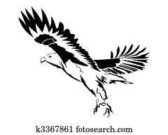 An eagle with wings open An eagle with wings open