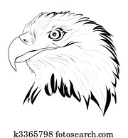 Eagle Eagle