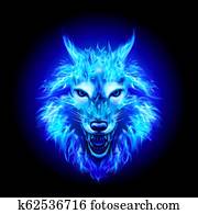 פטר, ראש של זאב