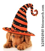 dia das bruxas, filhote cachorro