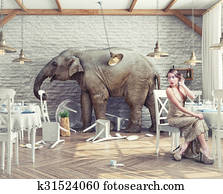 elephant in restaurant elephant in restaurant