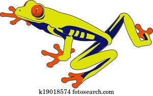 frog frog