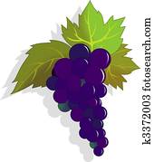 grapes grapes