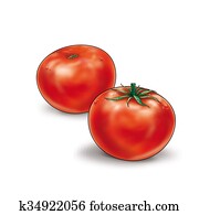 Tomatoes Vegetable Tomatoes Vegetable