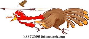 turkey turkey