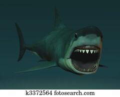 כריש לבן גדול, מוכן, ל, bite.