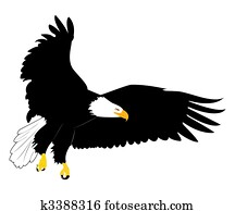 An eagle with wings open An eagle with wings open