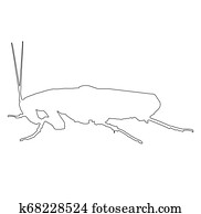 Cockroach Illustrations | Our Top 733 Cockroach Stock Art | Fotosearch