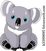 Cute Koala Cute Koala