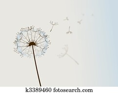 Flower in the wind. Flower in the wind.