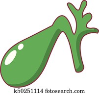Clipart of Stone bile duct. Gallbladder, duodenum, pancreas, bile ducts