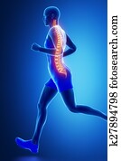 Running man with visible spine Running man with visible spine