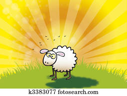 Spring Lamb Spring Lamb