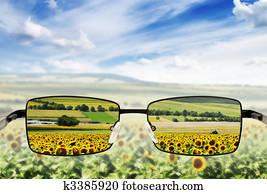 Sunglasses. Concept - sunglasses for poor vision.