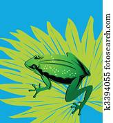 Green frog Green frog
