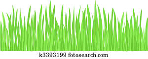 Green Grass (vector) Green Grass (vector)