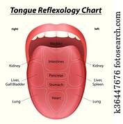 Reflexology Tongue