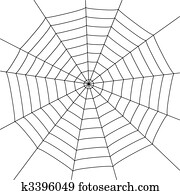 spider web spider web