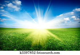 Sunset sun and field of green fresh grass under blue sky